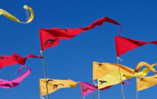 Pennant flags in the wind